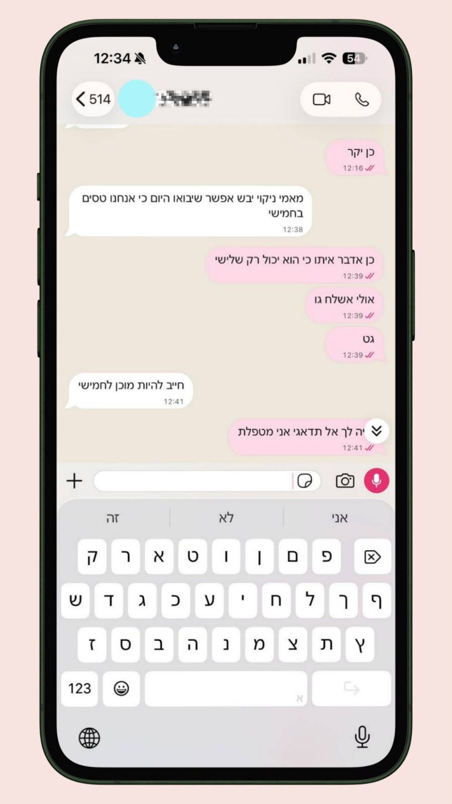 המלצה 2